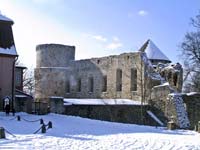 Cesis castle from the east