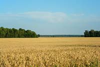 Landscape near Abgunste