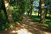 Causeway along Helene manor