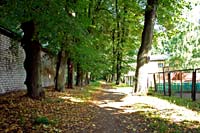 Causeway of Balta muiza park