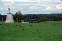 Strante windmills